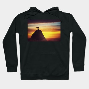 superhero conceptual scene Hoodie